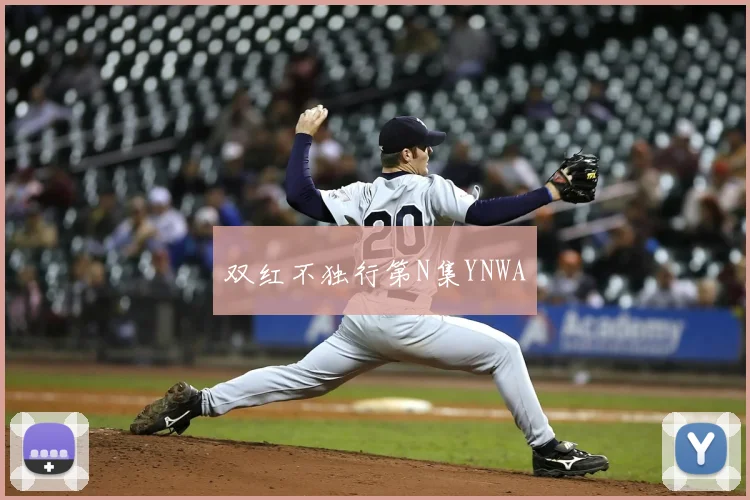 双红不独行第N集YNWA
